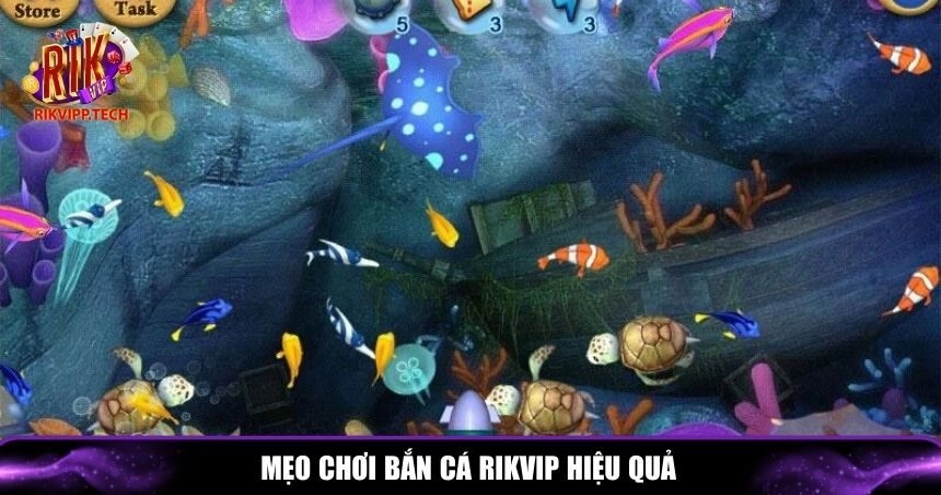 Mẹo giúp bạn dễ dàng săn cá và đạt được phần thưởng hấp dẫn
